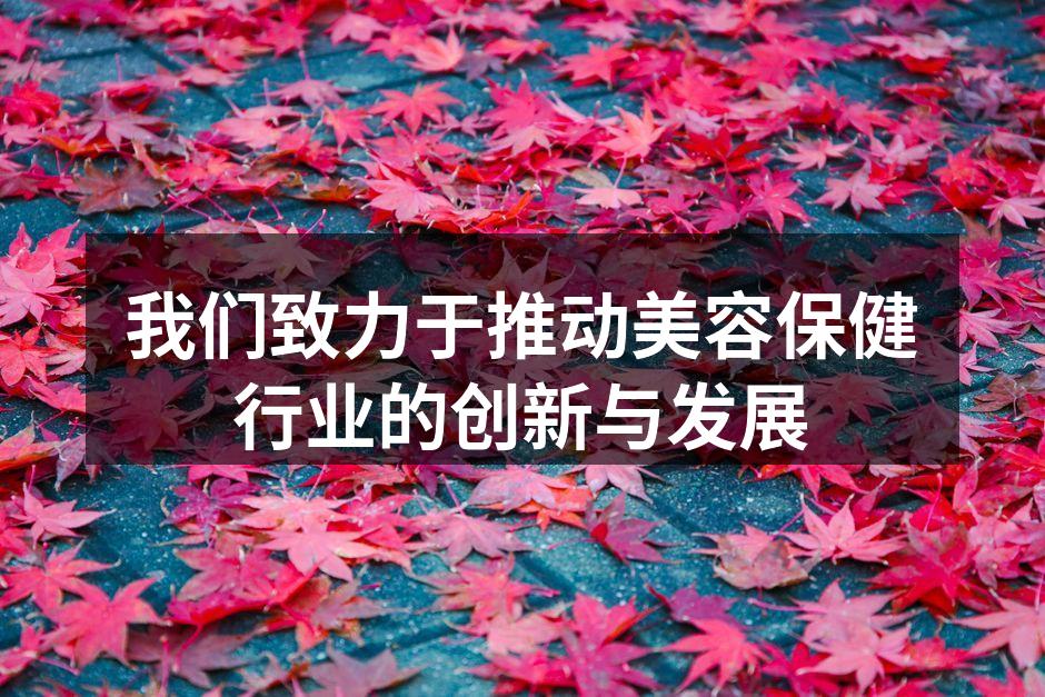 新产品展示，科技与自然的结合